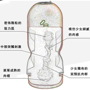 genmu-pure-test.jpg